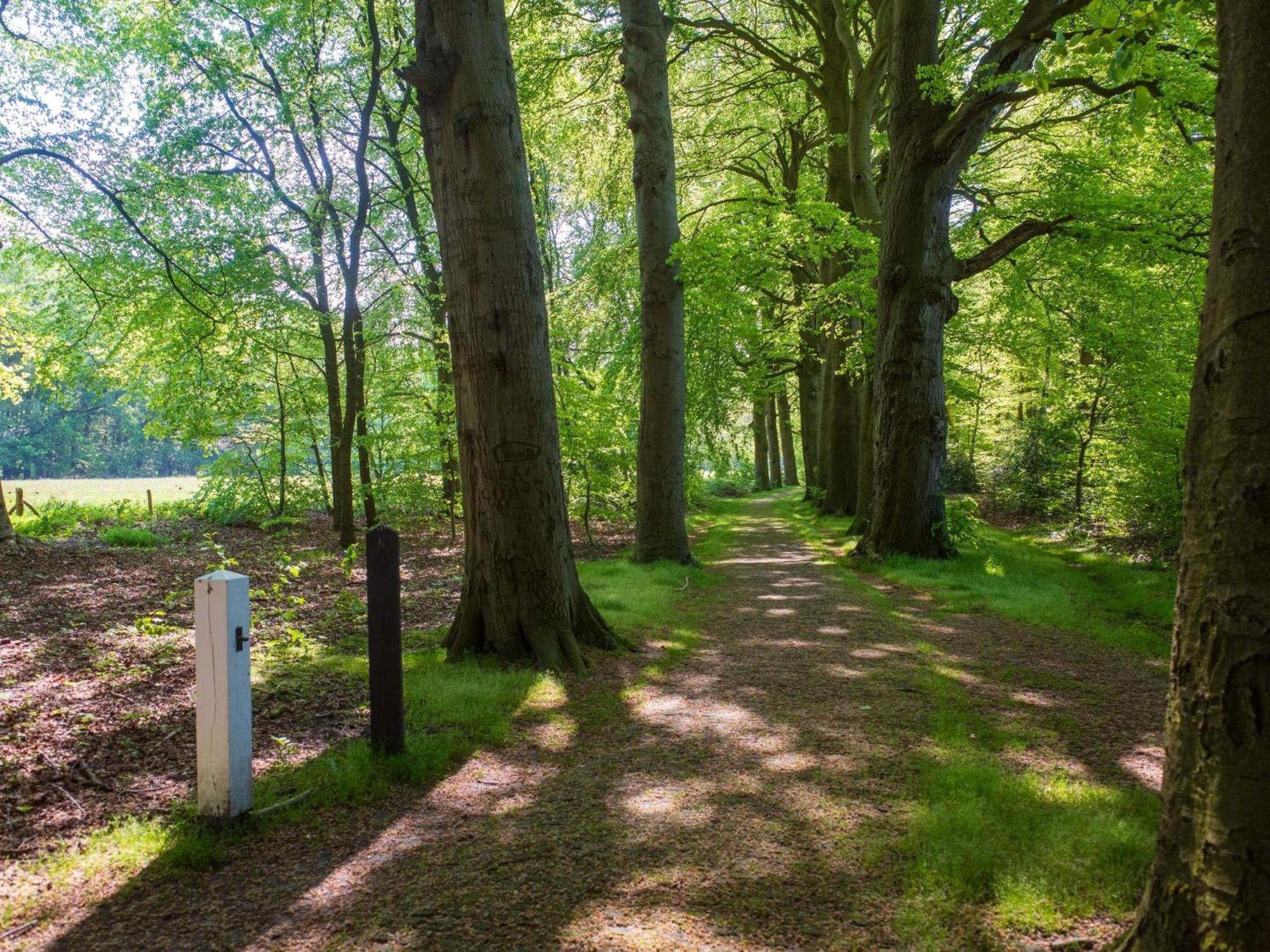 Merel Hulshorst Bagian luar foto