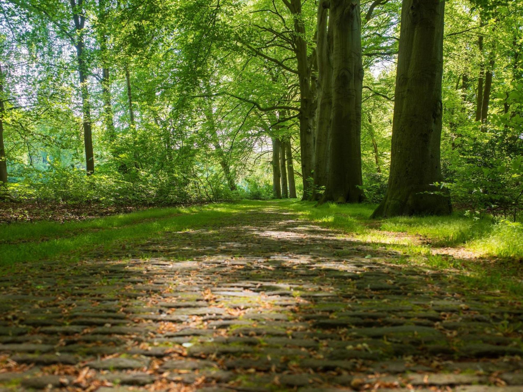 Merel Hulshorst Bagian luar foto