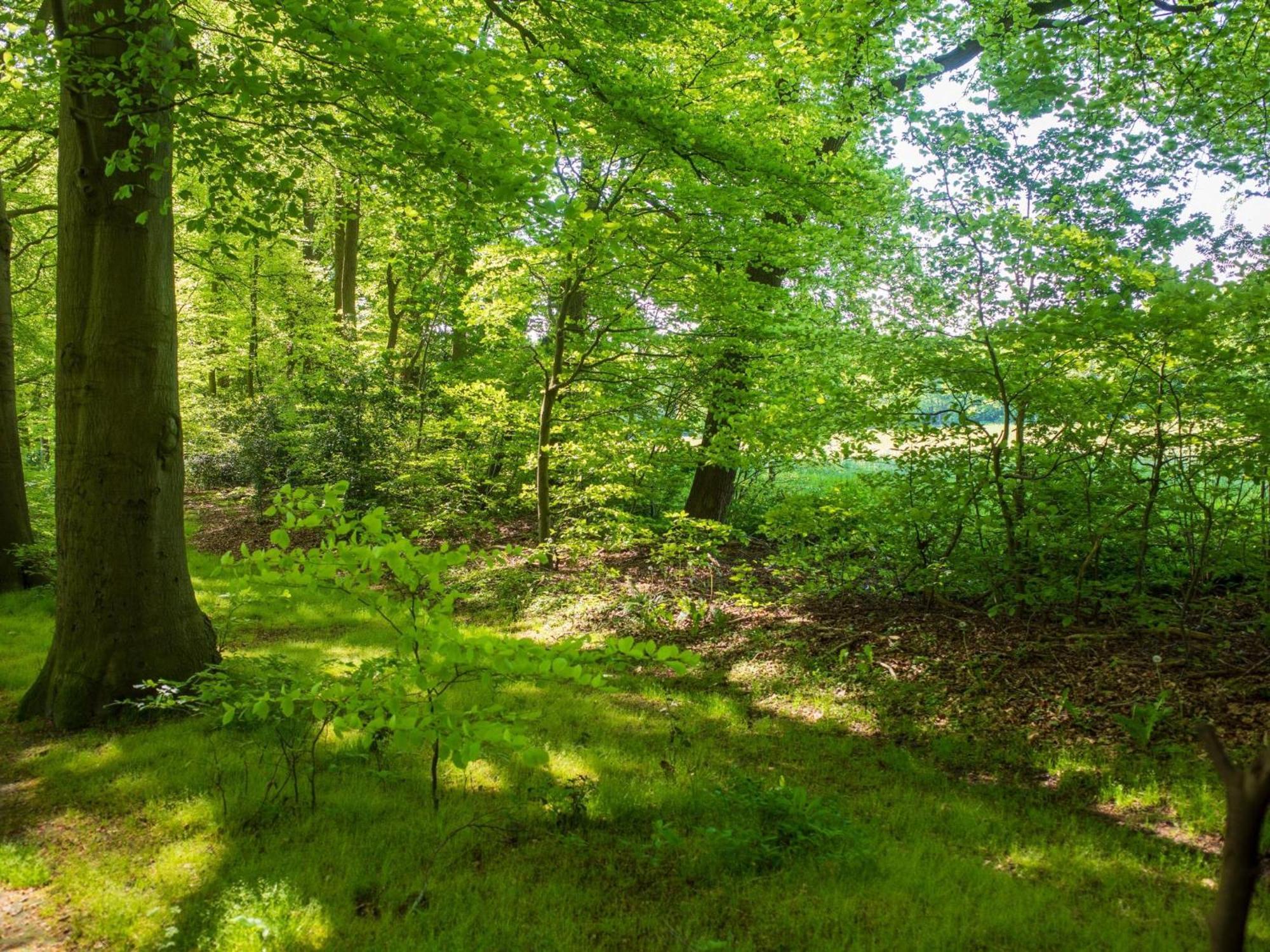 Merel Hulshorst Bagian luar foto